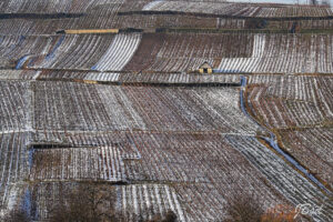 Maison dans les vignes